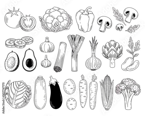 Collection of hand drawn vegetables and produce