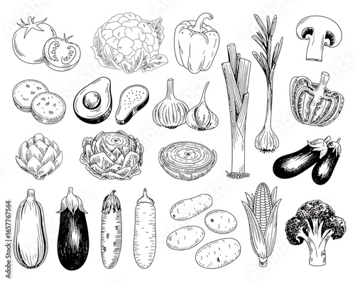 Collection of hand drawn vegetables in sketch style