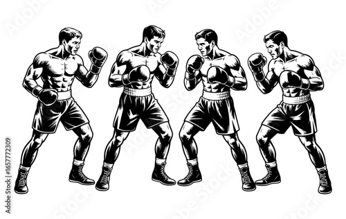 Four muscular boxers in fighting stance illustration