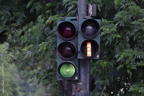 Green incandescent traffic light for cars and tram surrounded by leaves.