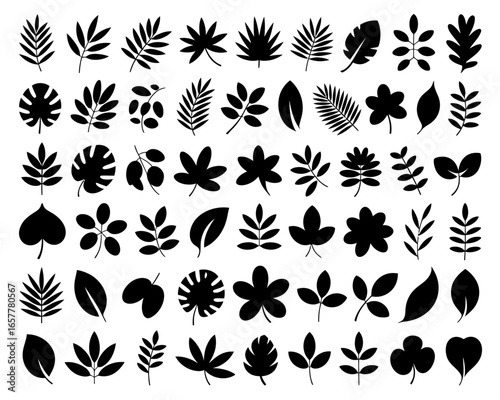 Collection of diverse black silhouette tropical and botanical leaves