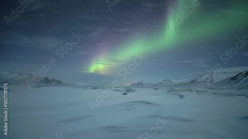 Wallpaper Mural Aurora Borealis Lights Dance Over Snowstorm in Frozen Tundra Landscape Torontodigital.ca