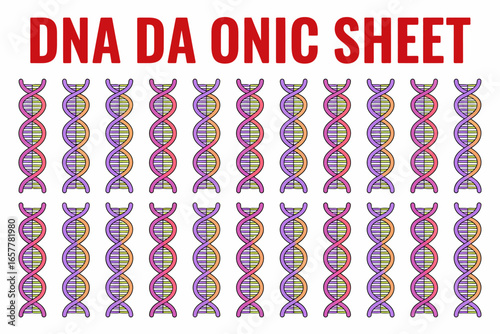 Colorful DNA DA ONIC SHEET Graphic for Scientific or Educational Purposes and Projects about Genetic Code