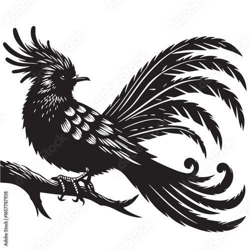 black Quetzal Silhouette Vector, High Quality Illustration on White Background