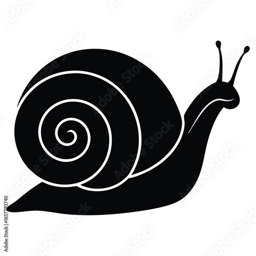 snail vector