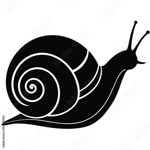 snail vector