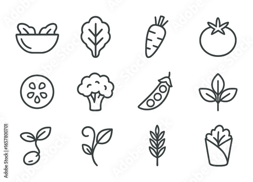 Plant Food Icons. Outline icon set of plant-based food packaging: salad bowl, lettuce leaf, carrot, tomato,