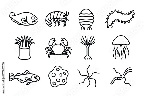 Deep Sea Icons Grid. Outline icon set of trench-dwelling organisms: hadal snailfish, amphipod, giant isopod,