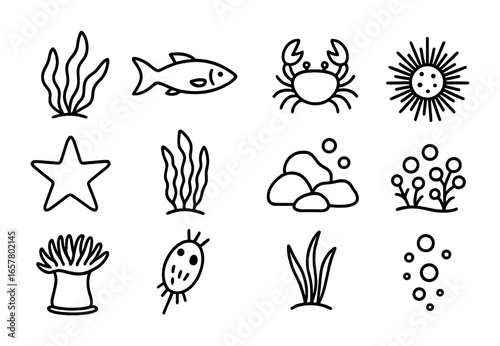 Ocean Biodiversity Icons. Outline icon set of oceanic kelp forest biodiversity: seaweed fronds, fish, crab,