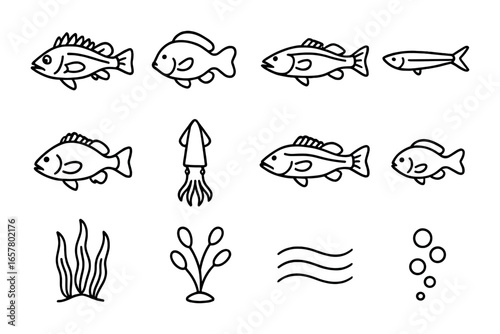 Kelp Forest Icon Set. Outline icon set of fish species in kelp forests: rockfish, garibaldi, kelp bass,