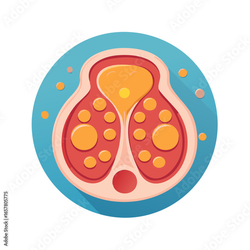 Diagrammatic vector style illustration of anatomy of thyroid gland, medical science concept in round format