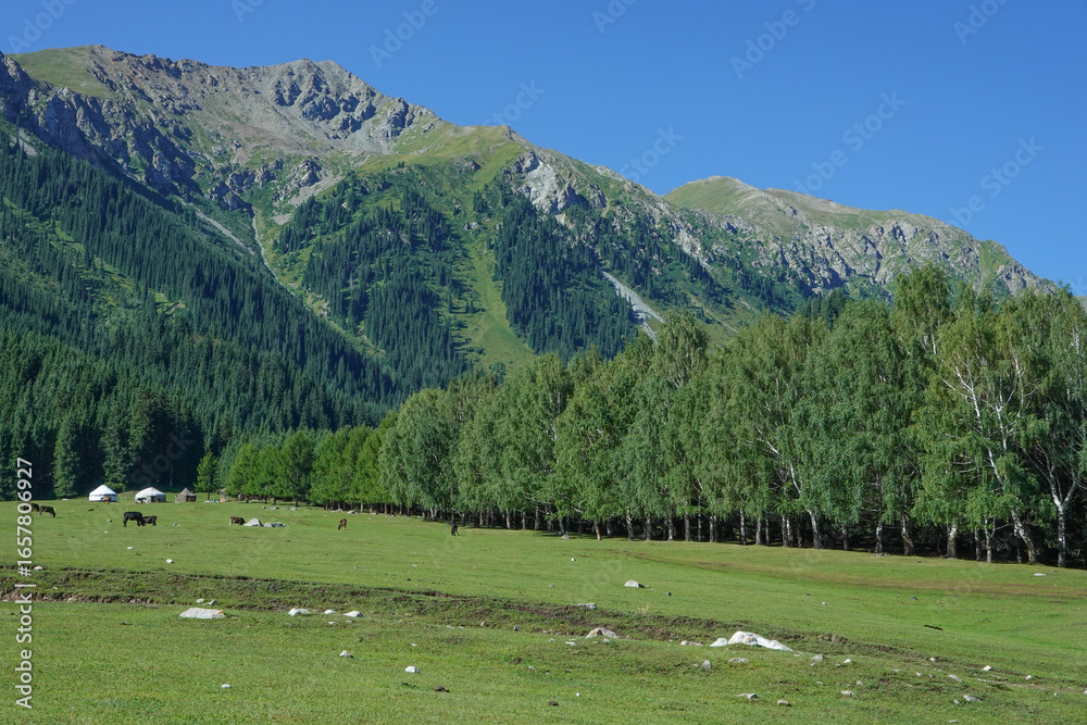 Naklejka premium キルギス_Dzhetyoguz_Telety Camp-Kok Jaiyk Valley