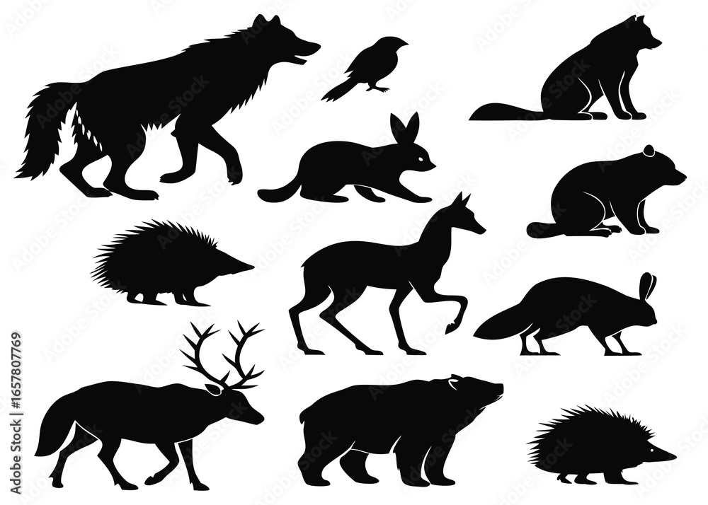 Obraz premium Carton style group animal icon set 