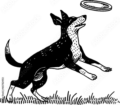 Playful dog chasing frisbee in minimalistic black and white design