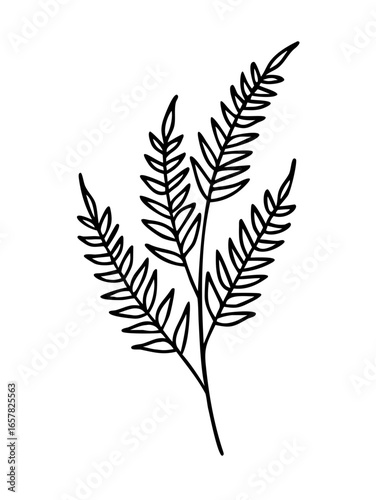 Leaf autumn drawing