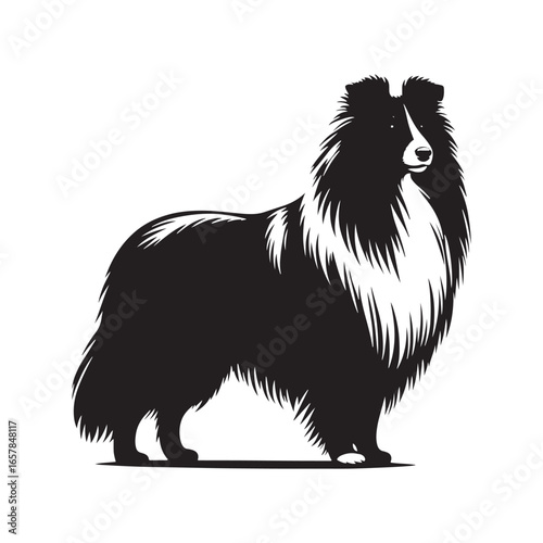 Shetland Sheepdog vector silhouette, elegant herding breed outline, loyal companion design, fluffy fur contour, intelligent posture, canine graphic art, dog lover emblem, minimal modern editable illus