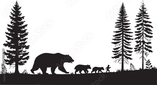 Bear with cubs walking in forest landscape with tall pine tree silhouettes