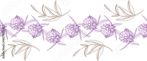 Seamless border of clovers buds and leaves