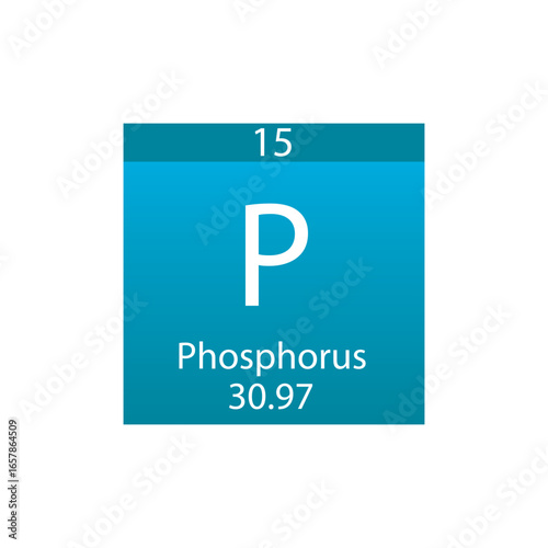 P Phosphorus Non reactive metal Chemical Element Periodic Table. Simple flat square vector illustration, simple clean style Icon with molar mass and atomic number for Lab, science or chemistry class.