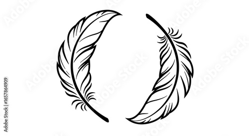Two delicate black and white feathers forming a circle on a white background