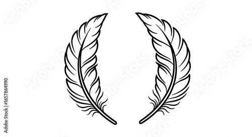 Two detailed hand drawn feathers forming a circular frame on a white background