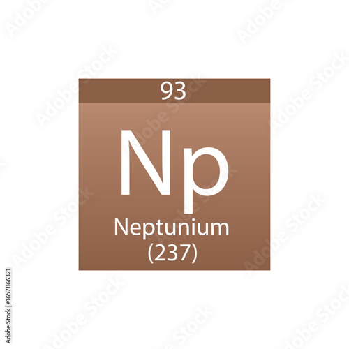 Np Neptunium Actinoid Chemical Element Periodic Table. Simple flat square vector illustration, simple clean style Icon with molar mass and atomic number for Lab, science or chemistry class.