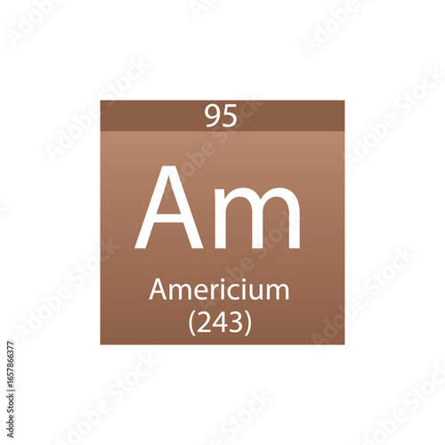 Am Americium Actinoid Chemical Element Periodic Table. Simple flat square vector illustration, simple clean style Icon with molar mass and atomic number for Lab, science or chemistry class.