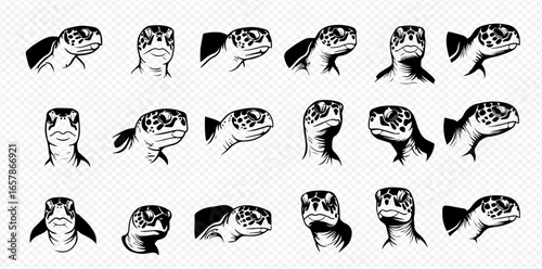 A collection of detailed, black and white illustrations showcasing sea turtle heads from various angles and perspectives.