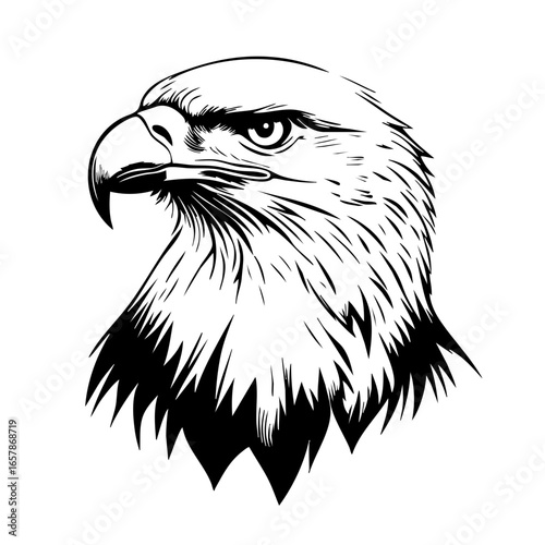 Majestic black vector eagle head illustration showcasing intricate feather detailing and intense gaze