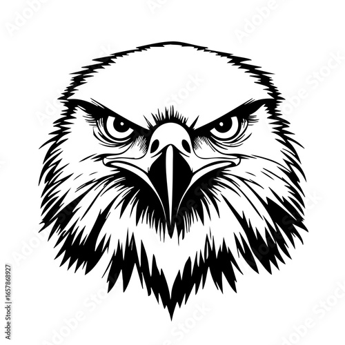 Bird of prey vector design featuring an aggressive eagle with sharp eyes and detailed feathers suitable for various creative projects