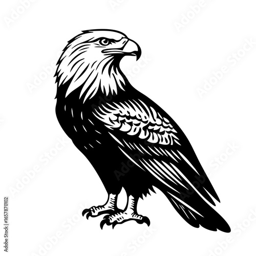 Detailed black vector illustration of a majestic eagle standing confidently, showcasing its powerful stance and intricate feather patterns