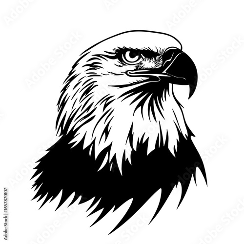 Elegant black vector depiction of a majestic eagle showcasing sharp features and fierce expression in a detailed illustration
