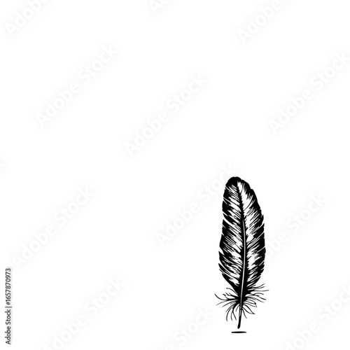 Elegant black feather design with intricate details representing nature's beauty and delicacy