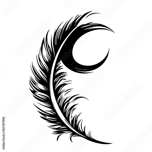 Elegant black feather design with crescent moon shape incorporated into the natural flowing lines of the feather
