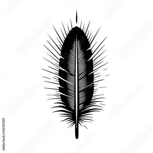 Detailed black vector of a feather with intricate lines and spikes, showcasing nature's beauty and elegance in design