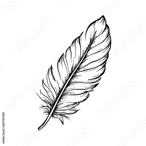 Elegant black feather vector with intricate detailing suitable for design and illustration purposes