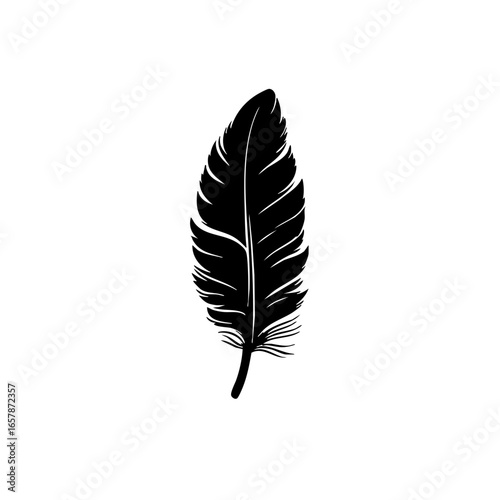 Elegant black feather design showcasing intricate details and flowing lines for artistic and decorative purposes