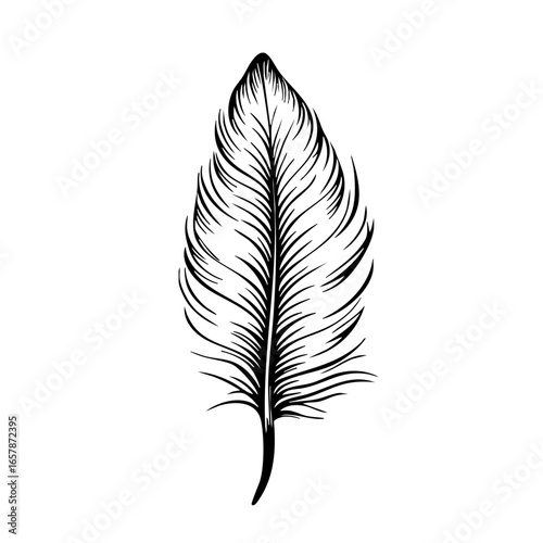 Elegant black vector design of a detailed feather showcasing natural beauty and intricate patterns suitable for various artistic projects