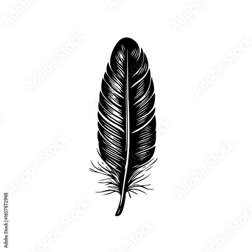 Elegant black feather with detailed lines and contours representing natural beauty and grace in a minimalist design