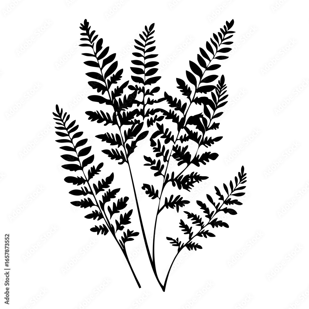 Elegant black fern vectors featuring intricate leaf patterns ideal for creative design projects and botanical illustrations