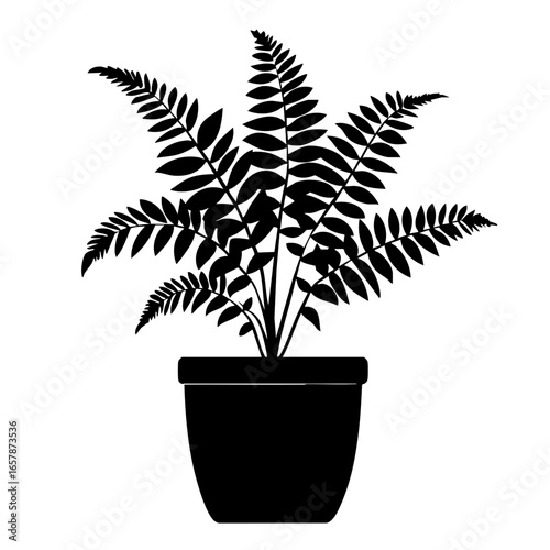 Elegant black vector illustration of a lush fern plant in a decorative pot showcasing detailed leaf structure and form