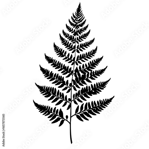 Detailed black vector illustration of a fern leaf with distinct fronds showcasing intricate patterns and natural symmetry
