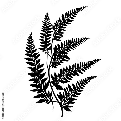 Elegant black fern vector showcasing natural beauty and intricate leaf patterns in a minimalist design