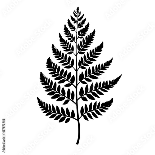 Detailed black vector illustration of a fern leaf showcasing its intricate structure and natural elegance