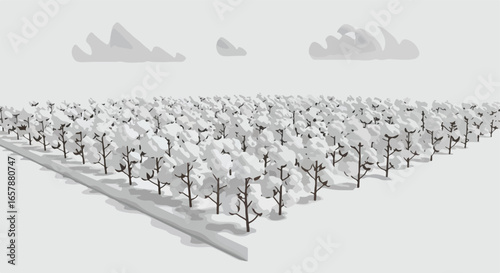 Cotton field landscape, perspective view, cloudy sky. For product or textile design