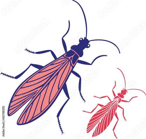 big size stoneflies with silhouette vector colorful design