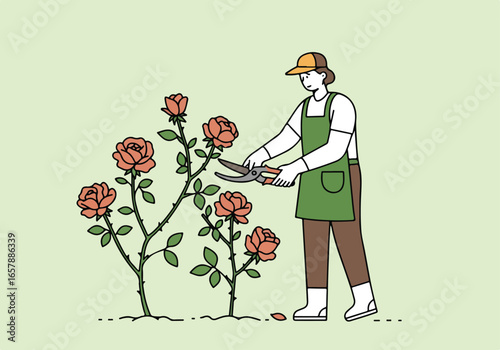 Woman gardening; trimming roses with shears in an illustration with a green background