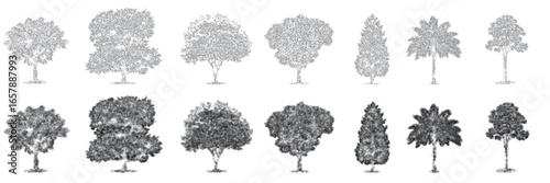 Collection of outline tree drawings in side view. Simple line art symbols for landscape and architecture design. Modern minimal vector style