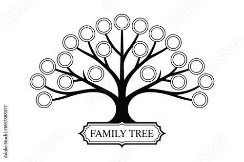 Generations of heritage a visual representation of a growing family tree with empty portrait frames vector