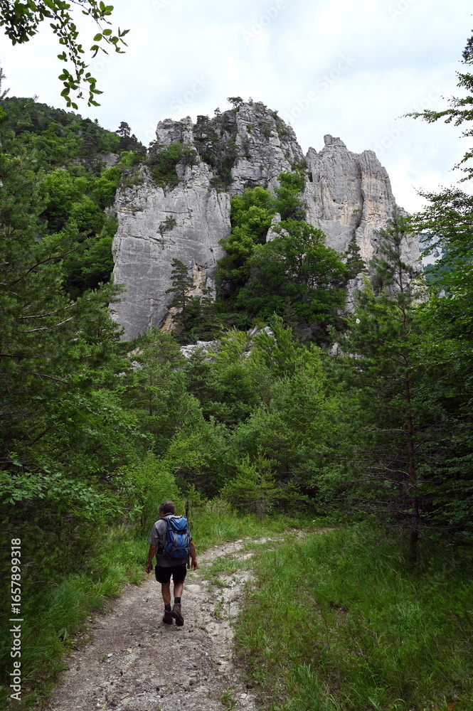 Fototapeta premium les sucettes de bornes